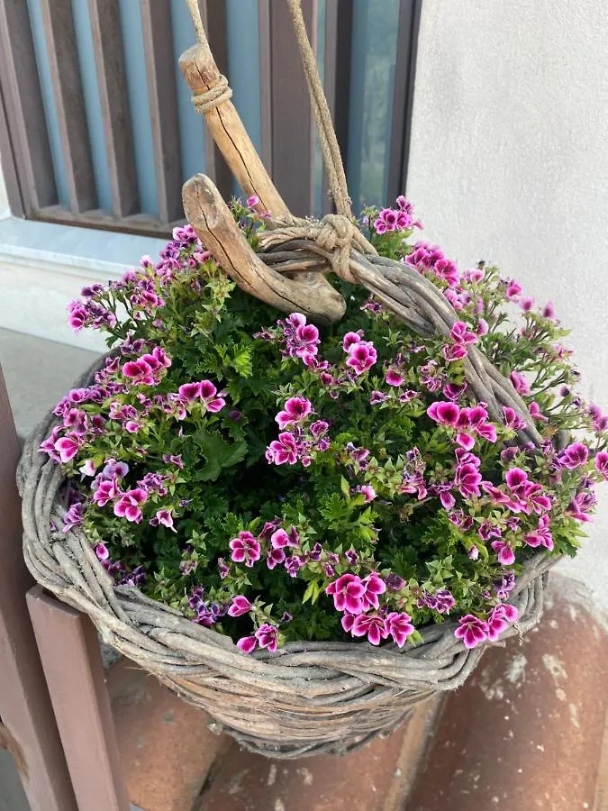 Villa Carolea Acireale Bed and Breakfast