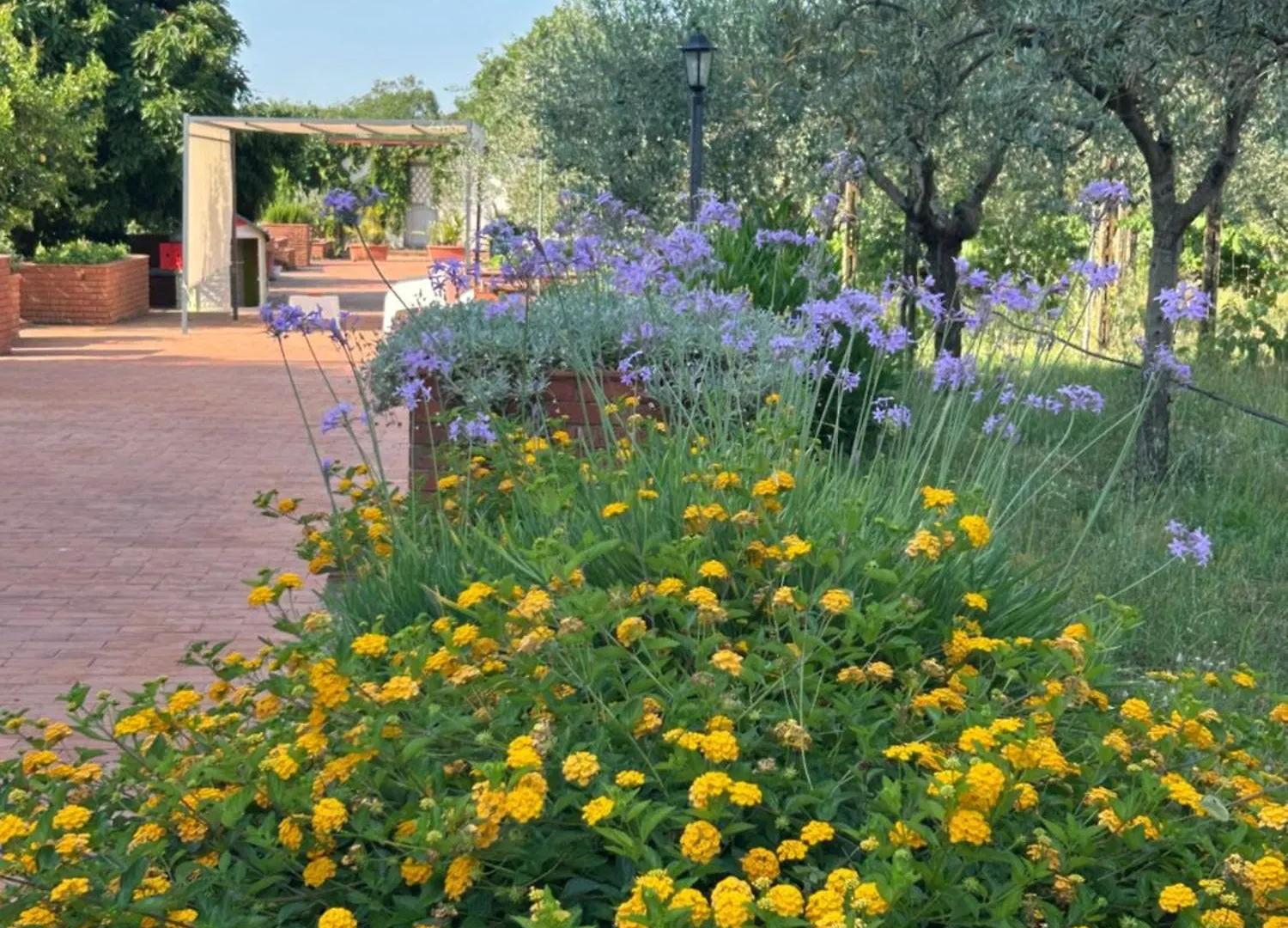 Bed & Breakfast Villa Carolea Acireale